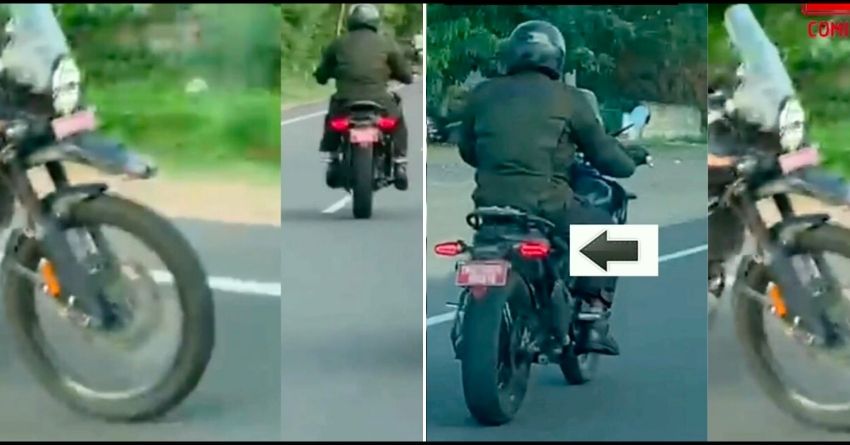 Royal Enfield Himalayan 450 Features Harley-Style Tail Light