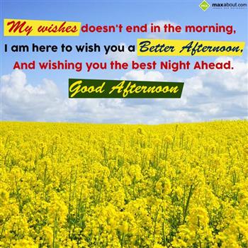 best good afternoon images